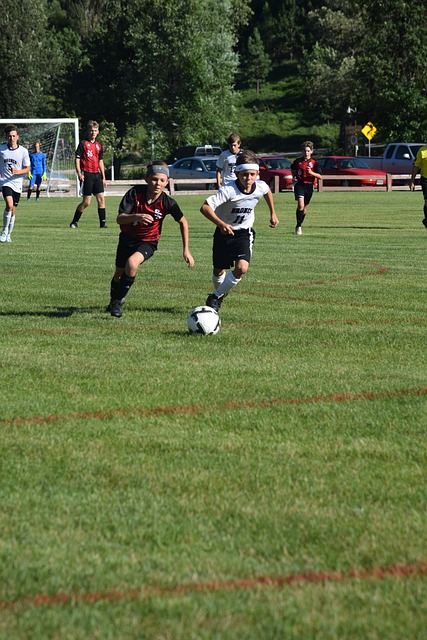 高他的品牌 高他的品牌