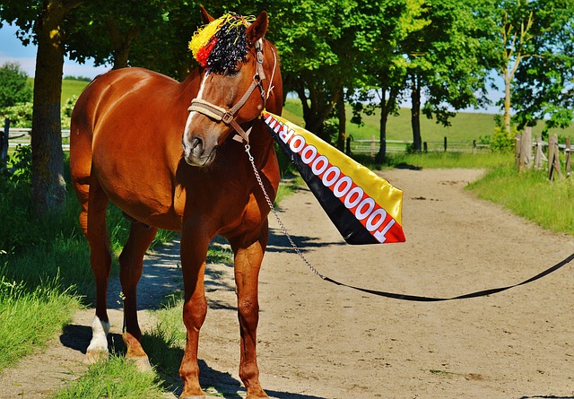 从而在赛季 从而在赛季