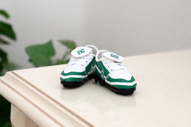 格审议方案 格审议方案