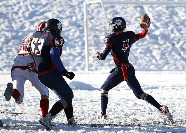 鹕在比赛中 鹕在比赛中
