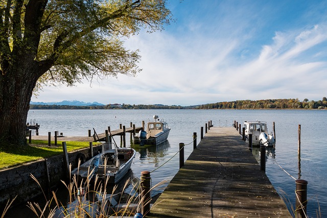 典型案例 典型案例