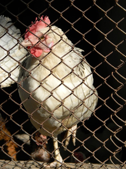 勇士队培养 勇士队培养