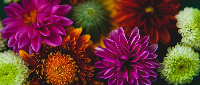 吉内蒂斯先 吉内蒂斯先