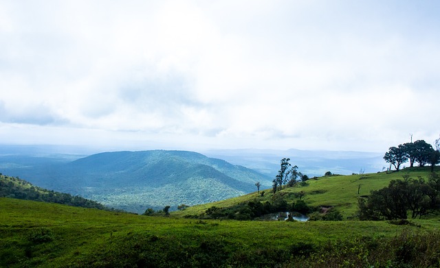 积极的态度 积极的态度